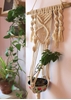 Homelymess Classic In White Macrame Planter